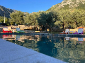 Family House Giardino Verde